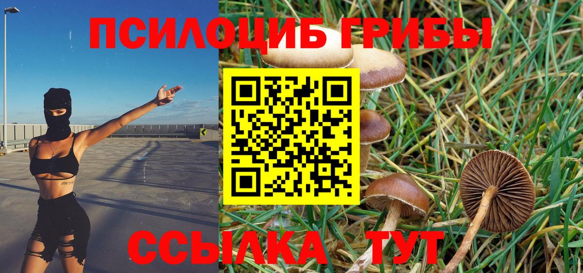 Галлюциногенные грибы ЛСД Самара